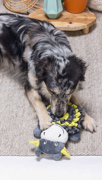 hund beschaeftigung spielzeug